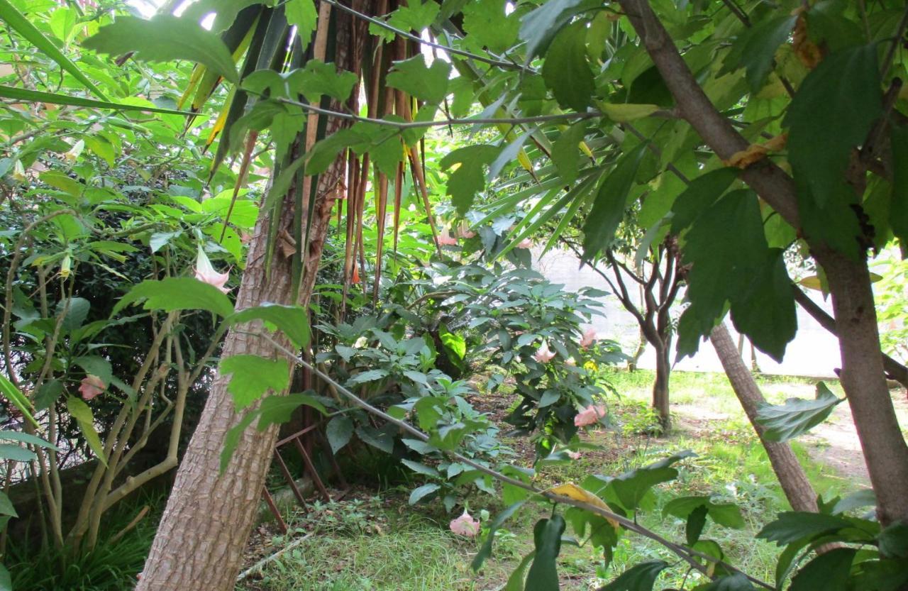 Resort Giardino Degli Aranci - Casa Lisca บาโรนิสซี ภายนอก รูปภาพ
