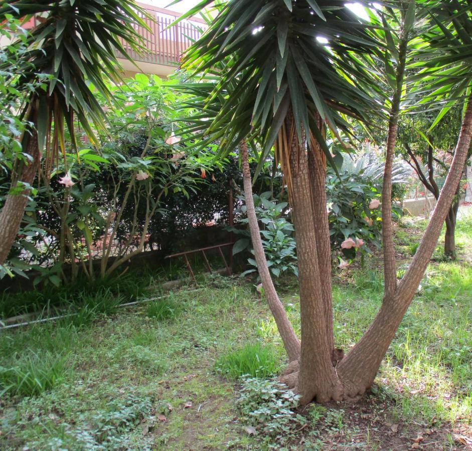 Resort Giardino Degli Aranci - Casa Lisca บาโรนิสซี ภายนอก รูปภาพ